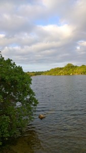 080616-John-E-tughole