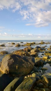080716-tide-pools