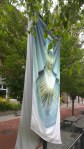 081616-RISD-Museum-banner