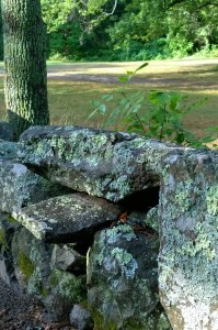 81116-lichen-stonewall-near-North-Bridge