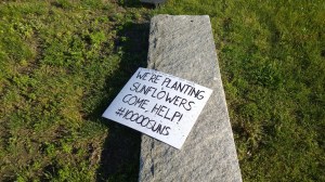 060816-help-us-plant-sunflowers