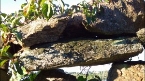 082216-thru-a-wall-darkly