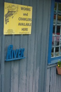 090216-worms-and-crawlers-concord