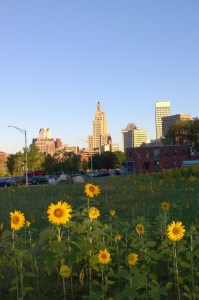 091316-sunflowers-providnece