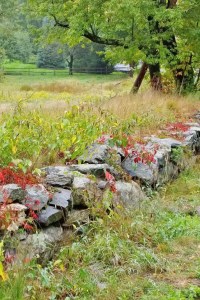 100216-fall-colors-concord-mass