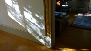 100716-light-and-shadow-at-home