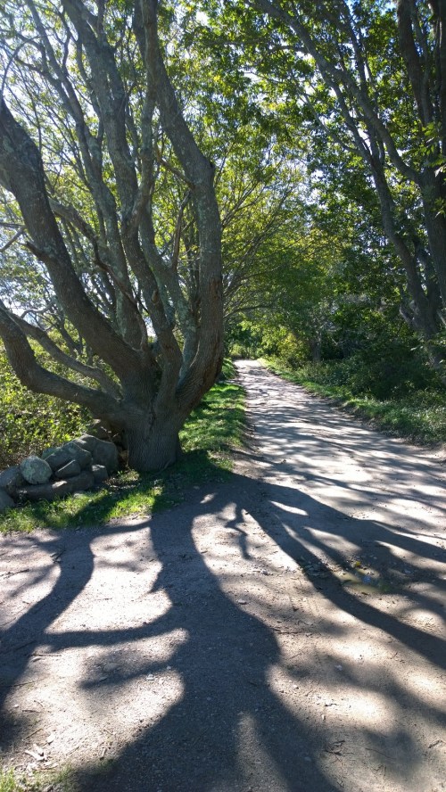 101016-dirt-road-new-shoreham
