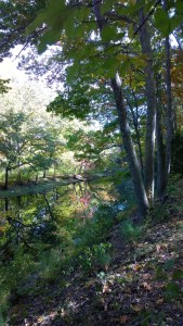 101516-autumn-river-reflections