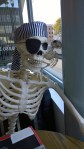102016-pirate-and-parrot-skeletons