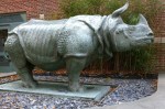 111716-mfa-museum-school-rhino
