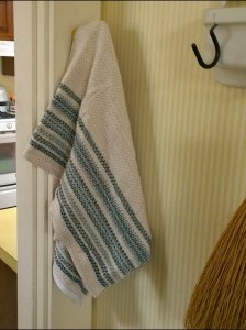 011217-Kerry-Sanger-dishtowell