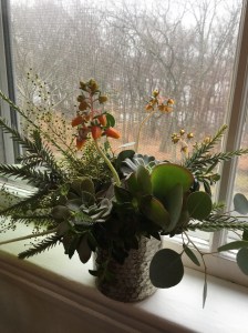 012617-lunaandstella-river-view