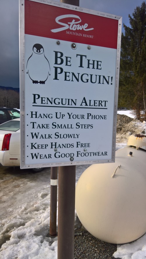 122716-stowe-penquin-safety-tips