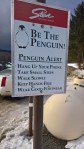 122716-stowe-penquin-safety-tips