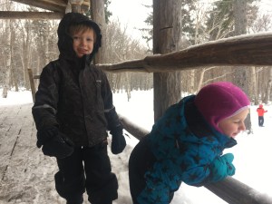 https://suzannesmomsblog.com/wp-content/uploads/2017/01/122816-grandkids-in-vermont.jpg