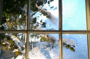 021017-frosty-window