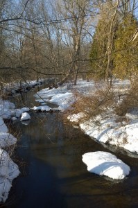 021817-snow-melting-at-stream