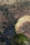 041217-stream-in-woods