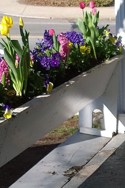 041417-Colonial-Inn-flower-boxes