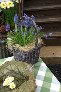 042717-Nesting-Shop-display