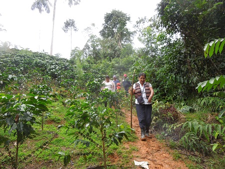 esperanza_walking_small