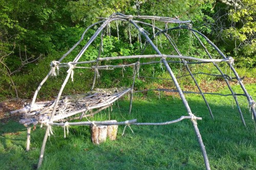 051217-feathery-dogwood-and-garage