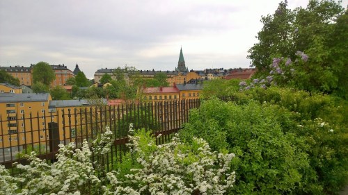052817-Stockholm-from-a-hill