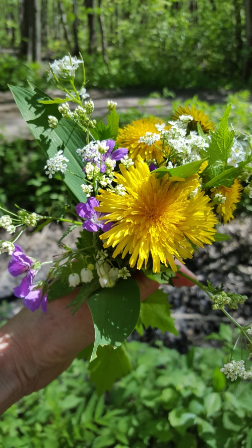 052917-flowers-and-shadows-stockholm