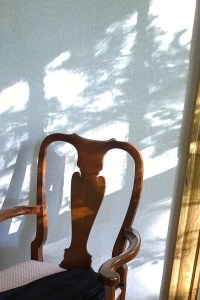 051117-can't-resist-sun-and-shadow
