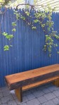 051817-bench-under-grape-arbor