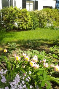 060717-there-will-be-grapes