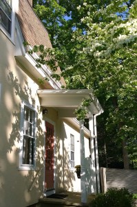 051917-backdoor-dogwood-shadows