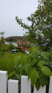 060217-beautifulSwedish-west-coast