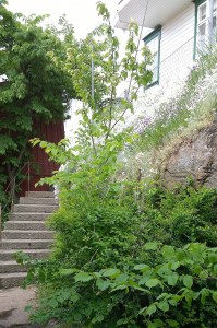 060317-hidden-staircase-Smogen