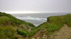 061817-new-shoreham-bluffs