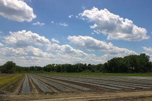 062117-clouds-over-plowed-field
