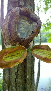 062917-Black-Elk-Town-Forest-Concord