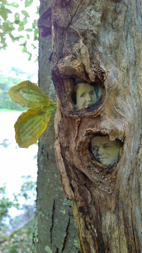 062917-Heather-Kapplow-Art-Ramble-ConcordMA