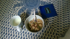 070717-flax-seed-pumpkin-kernels