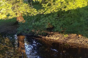 072517-evening-river-refection