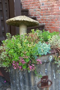 072617-garden-in-trash-can