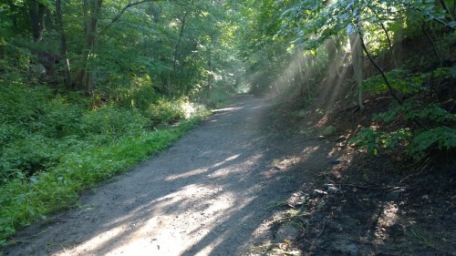 072817-sunlight-streaming-ConcordMA