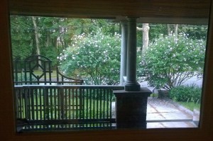 073117-rose-of-sharon-8pm