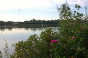 080717-Seekonk-River-morning