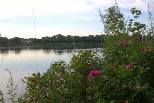 080717-Seekonk-River-morning