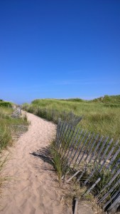 081317-dune-path-New-Shoreham-RI