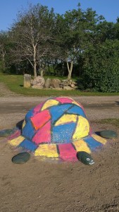 081617-turtle-on-Painted-Rock-BI