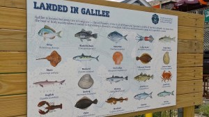 082517-fish-sign-Pt-Judith-RI