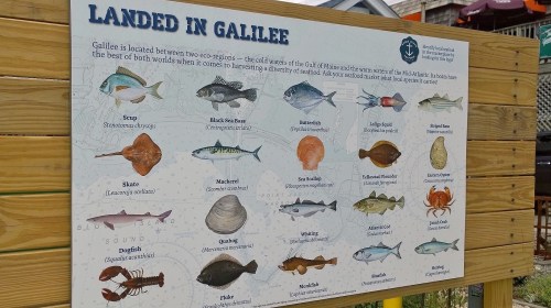 082517-fish-sign-Pt-Judith-RI