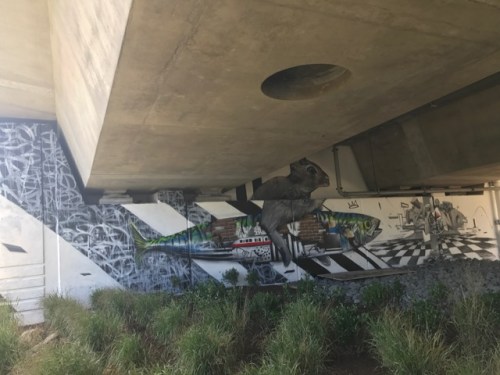 090917-graffiti-photo-by-Zhao